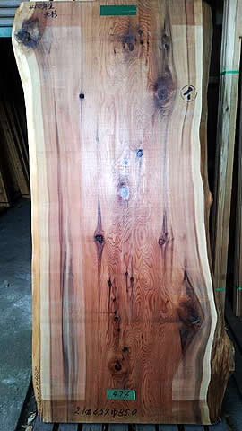 テーブル材 杉　樹齢400年生